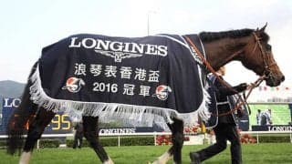 【香港国際競走】当日のシャティン開催まとめ、日本馬の名を冠したレースも開催