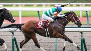 【2021香港国際競走】日本馬の近況（12月11日）