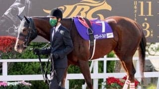 【カペラS前日オッズ】モズスーパーフレアが3.6倍で1番人気、単勝10倍以下5頭で混戦模様