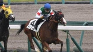 【阪神JF前日オッズ】C.デムーロ騎手とコンビのナミュールが2.9倍で1番人気