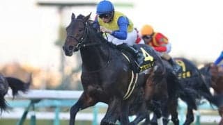 【阪神JF予想】パワーも兼ね備えた馬が優位になりそう/万哲の馬場予報