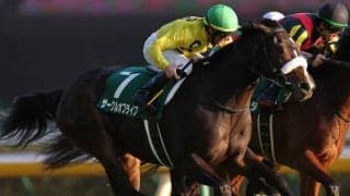 【WIN5予想】阪神JFは関東圏のレースにおける実績が重要