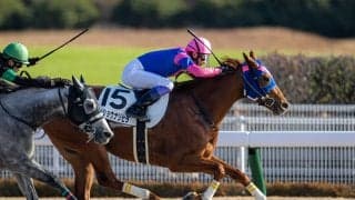 【中京7R】武豊 メイショウナリヒラが抜け出す