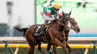 【阪神JF予想】例年以上にスタミナが問われる2歳女王決定戦