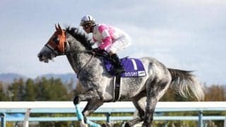 【カペラS予想】地方DG競走2勝のリュウノユキナが中心