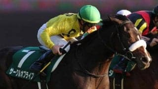 【阪神JF予想】狙いは前走アルテミス組の2頭？ 過去データから阪神JFを探る！