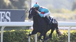 【香港ヴァーズ結果】グローリーヴェイズがモレイラ騎手とのコンビで2度目の制覇！