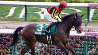 【阪神JF・馬体重】ステルナティーアは432kg(-10)、ナミュールは430(-10)kg