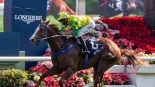 【香港スプリント結果】伏兵スカイフィールドが勝利　レシステンシア2着、ダノンスマッシュ8着、ピクシーナイトは競走中止