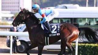 【香港マイル】福永祐一騎手落馬負傷のためインディチャンプはスミヨン騎手に乗り替わり
