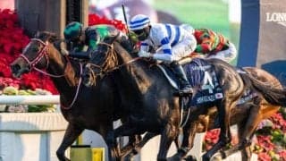 【香港C結果】ラヴズオンリーユーが日本馬初の海外G1年間3勝で有終の美！ヒシイグアスが2着