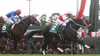 【中日新聞杯】ショウナンバルディが重賞初制覇！岩田康騎手は重賞通算100勝