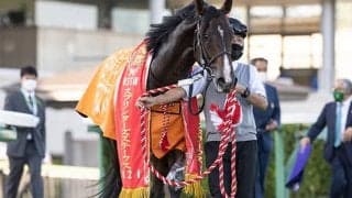 【香港スプリント】ピクシーナイト馬体は異常なし、香港の2頭が予後不良に