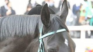 【阪神JF】ベストターンドアウト賞はラブリイユアアイズが受賞