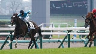 【新馬/中山5R】イスラボニータ産駒 パンテレリアがデビューV