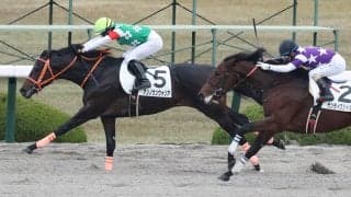 【新馬/阪神4R】アンノウンウォリアがデビューV