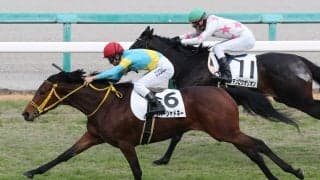 【新馬/阪神5R】ルーラーシップ産駒 エバーシャドネーがデビューV