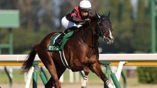 GI朝日杯FSとJpnI全日本2歳優駿に注目/今週の競馬界の見どころ