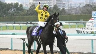 【阪神JF】売上は139億7034万2000円で昨年からおよそ3.2億円の増加