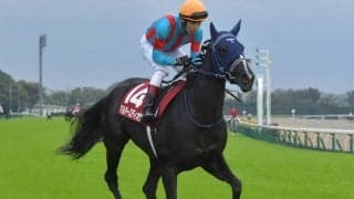 【ターコイズS見どころ】マルターズディオサの重賞3勝目なるか