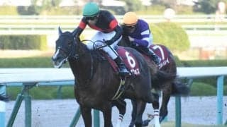 【朝日杯FS見どころ】セリフォスが無傷4連勝での戴冠に挑む