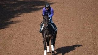 セレクト当歳にて2億円超で落札された高額馬、デシエルトがデビュー/関西馬メイクデビュー情報