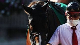 “THEダイワメジャー”なセリフォス　朝日杯FSで堂々世代のトップへ