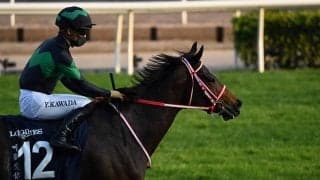 【香港カップ】矢作師「素晴らしい馬と巡り会えた」レース後コメント