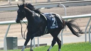 【香港スプリント】音無師「大変残念」レース後コメント