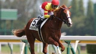 【朝日杯FS予想】実はハイレベル!? AI本命候補「あのレース」出走馬に大注目！