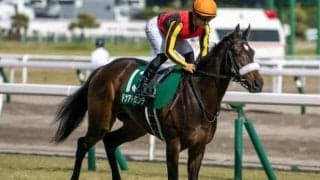 【ターコイズSハンデ確定】ドナアトラエンテは55.0kg、マルターズディオサは56.0kg