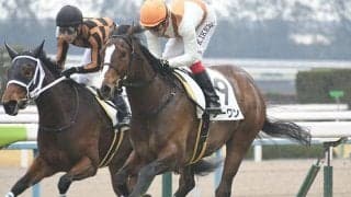 【先週のJRA抹消馬】2019年フィリーズレビュー覇者ノーワン、飛鳥Sを制したレッドベルディエスなど