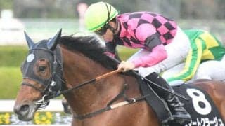 【タンザナイトSハンデ確定】スマートクラージュは55.0kg、グルーヴィットは57.0kg