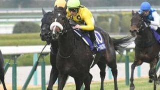 朝日杯FSに新種牡馬産駒ズラリ　これから数年で日本の血統地図は激変