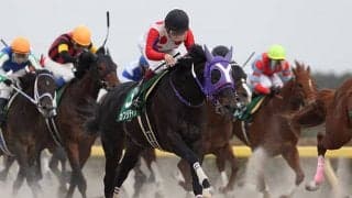 【地方競馬】2017年根岸S覇者カフジテイクが引退 松浦裕之調教師「もっと走らせたかったです」