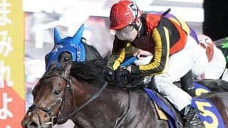 日本ダービー3着馬・コズミックフォース、強豪たち抑え南関東で重賞初制覇！