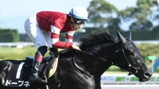 【朝日杯FS】藤田晋氏の所有馬がGI初出走　無傷2連勝中の高額ディープ産駒に注目