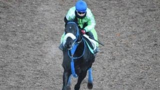 ヒロシゲゴールドなど、先週の入厩情報/栗東トレセンニュース