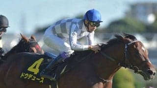 【朝日杯FS】武豊騎手の初勝利なるか　出世レース制した一頭に要注目