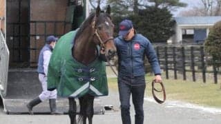 米国ダート重賞9勝馬フィレンツェファイアがアロースタッドに到着