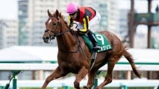 【朝日杯FS】母が届かなかったGIタイトルを…　ルメール騎手騎乗のドレフォン初年度産駒