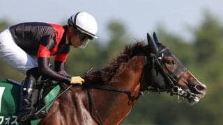 【朝日杯FS予想オッズ】無傷3連勝中のセリフォスが予想1番人気