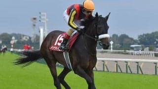 【ターコイズS予想オッズ】ドナアトラエンテが予想1番人気