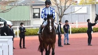 【朝日杯FS展望】2歳マイル王決定戦、あの穴馬に期待したい