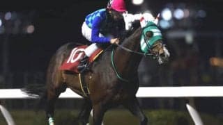 【川崎・スパーキングオールスターチャレンジ】圧勝のノーヴァレンダ森泰斗騎手「さすがという感じ。楽しみです」