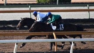 アリストテレス、有馬記念1週前追い切り速報/栗東トレセンニュース