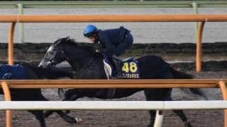 クロノジェネシス、有馬記念1週前追い切り速報/栗東トレセンニュース
