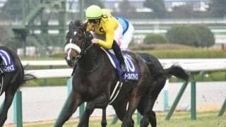 阪神JFを制したサークルオブライフは来年の桜花賞を視野