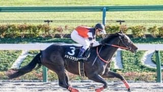 【全日本2歳優駿 16時時点オッズ】ドライスタウトが単勝2.3倍の1番人気、アイスジャイアントが6.0倍で続く