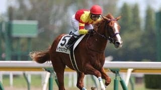 【AI予想】オッズ次第では面白い存在に？ 朝日杯FSでAIが選んだ1頭の信頼度をチェック